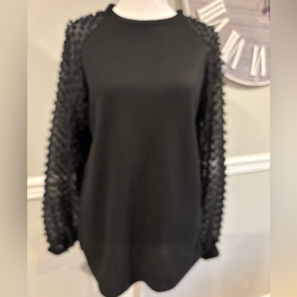 Women's Black Dressy Sheer Long Sleeve Top - Size Medium NWOT